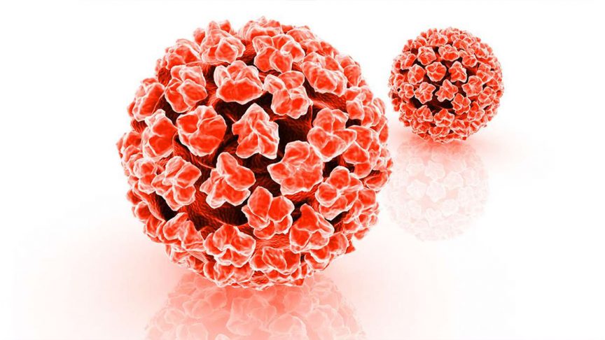 HPV-1-ppcorn